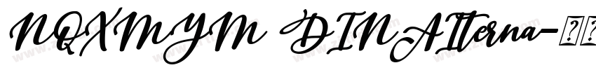 NQXMYM DINAIterna字体转换
